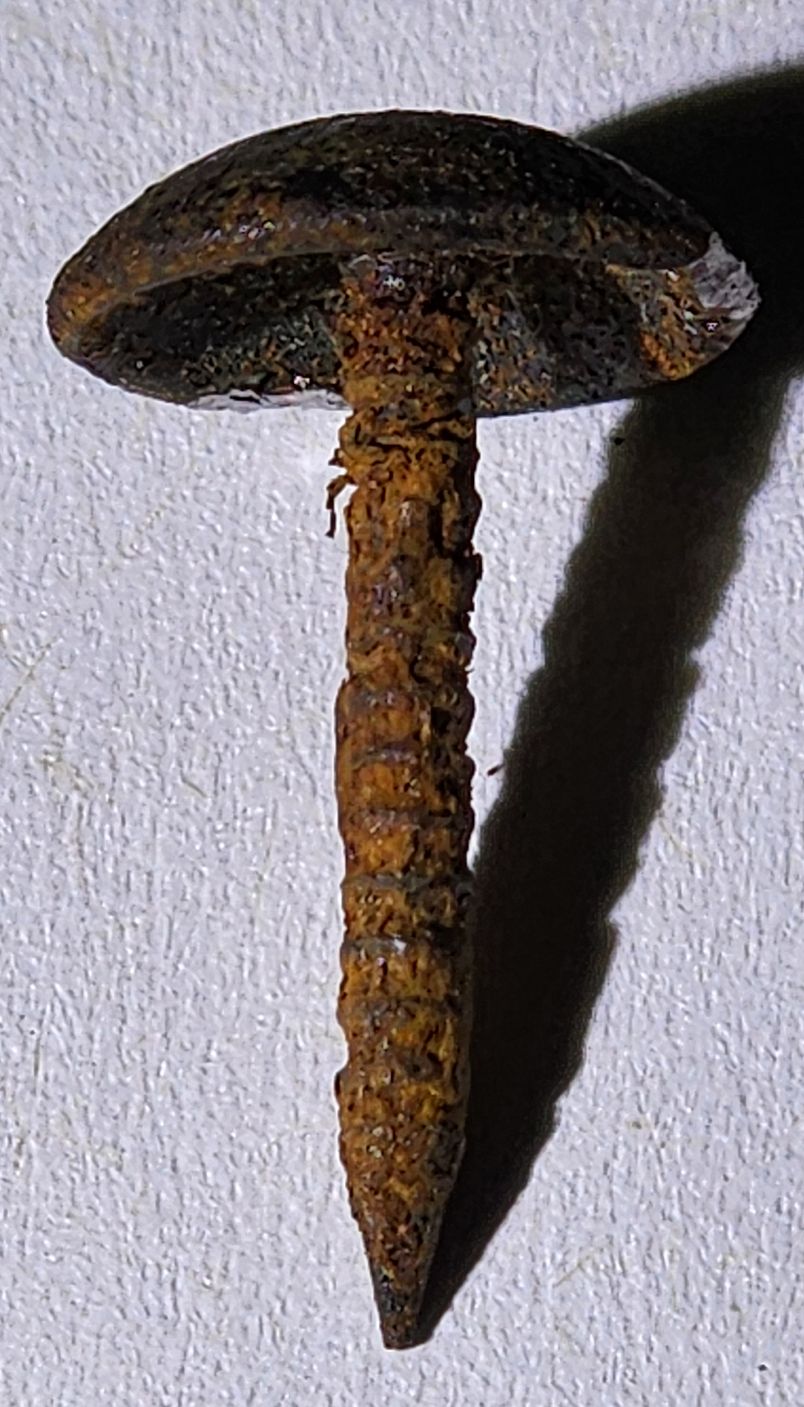 JC-120 upholstery tack.jpg